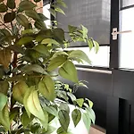 Apartamento Kozolec - Location