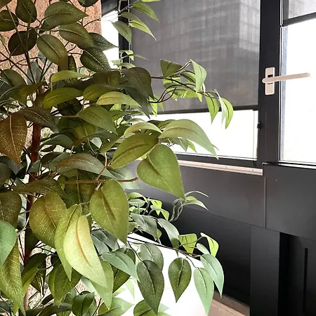 Apartamento Kozolec - Location