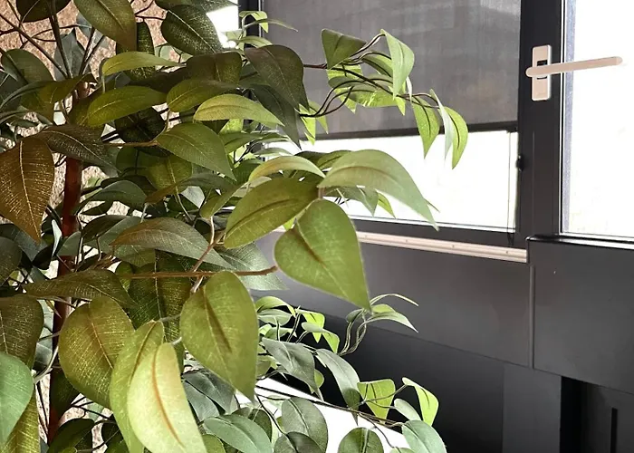 דירה Kozolec - Location